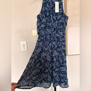 Navy Paisley Sleeveless Maxi Dress